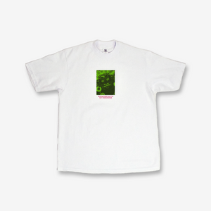 HALFTONE S/S T-SHIRT - WHITE